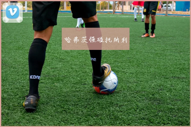 哈弗茨强碰托纳利