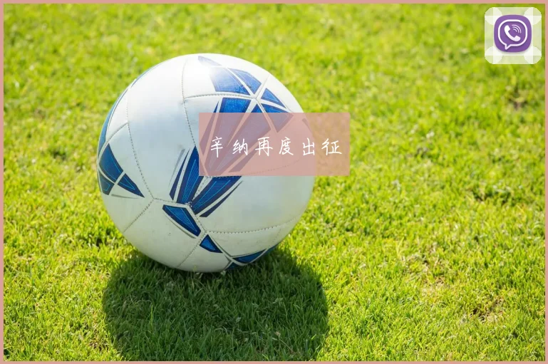 辛纳再度出征