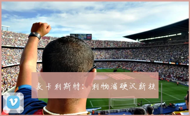 麦卡利斯特：利物浦硬汉新核