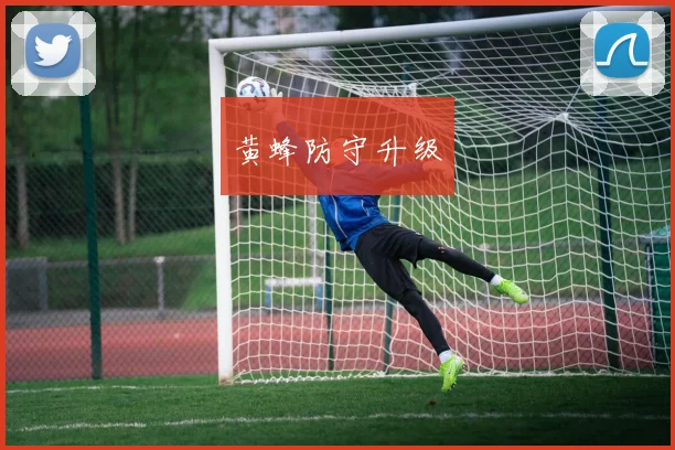 黄蜂防守升级