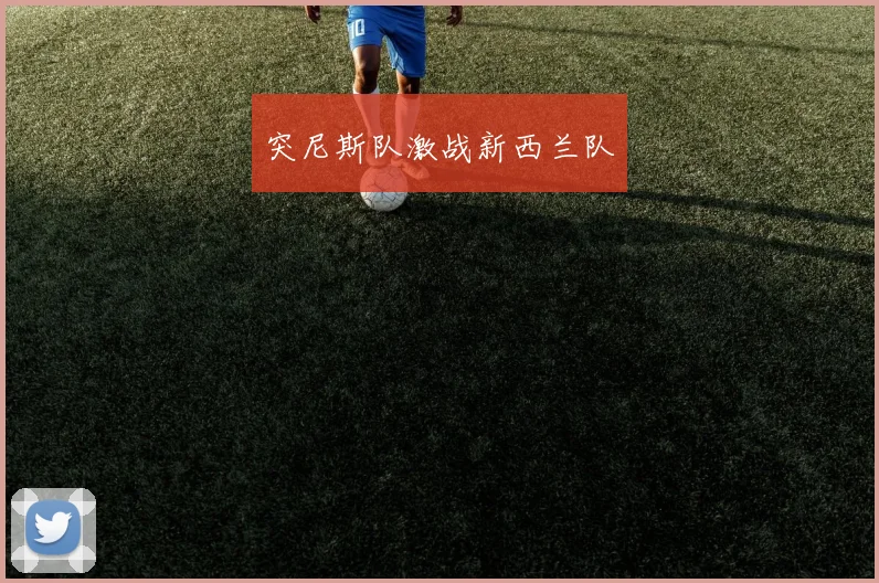 突尼斯队激战新西兰队