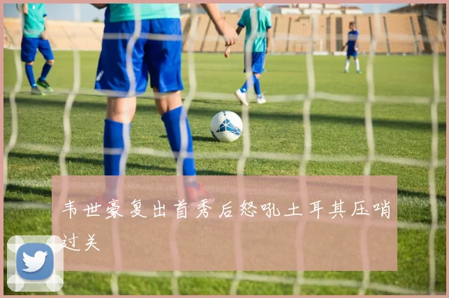 韦世豪复出首秀后怒吼土耳其压哨过关