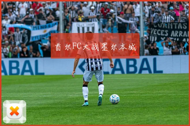 首尔FC大战墨尔本城