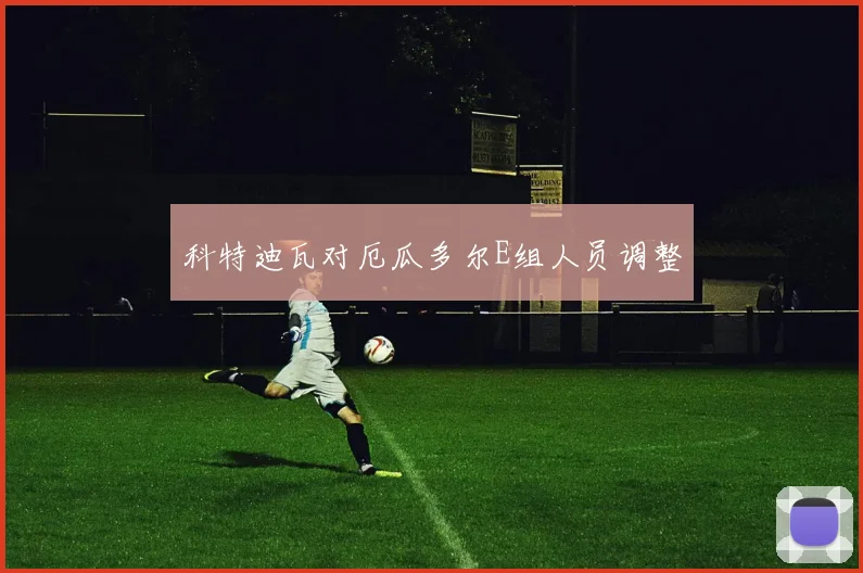 科特迪瓦对厄瓜多尔E组人员调整
