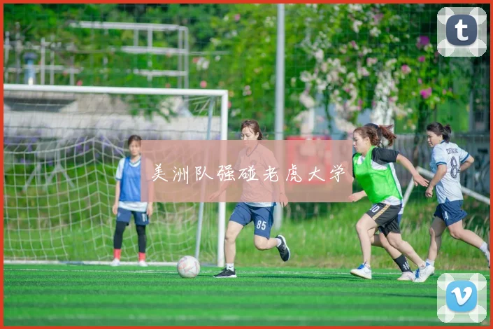 美洲队强碰老虎大学