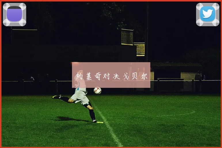 约基奇对决戈贝尔