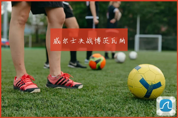 威尔士决战博茨瓦纳
