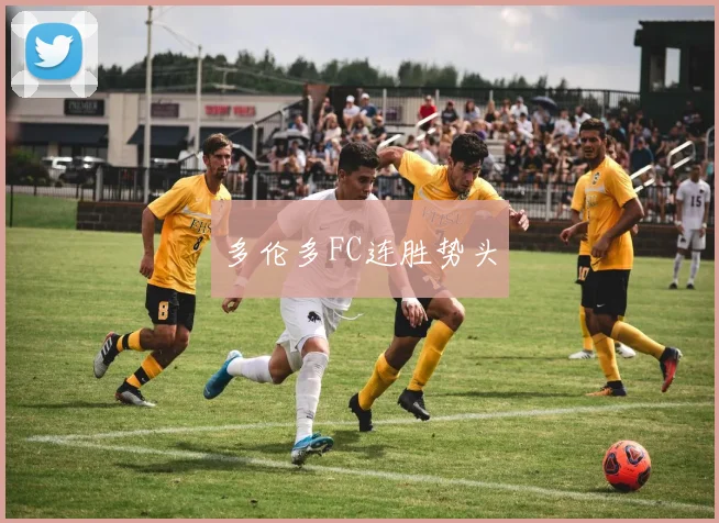 多伦多FC连胜势头
