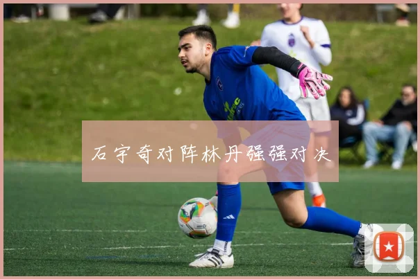 石宇奇对阵林丹强强对决
