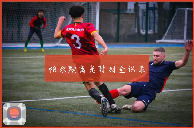 帕尔默高光时刻全记录