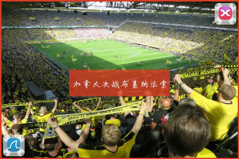 加拿大决战布基纳法索