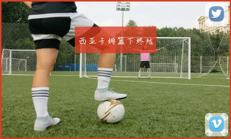 西亚卡姆篮下终结