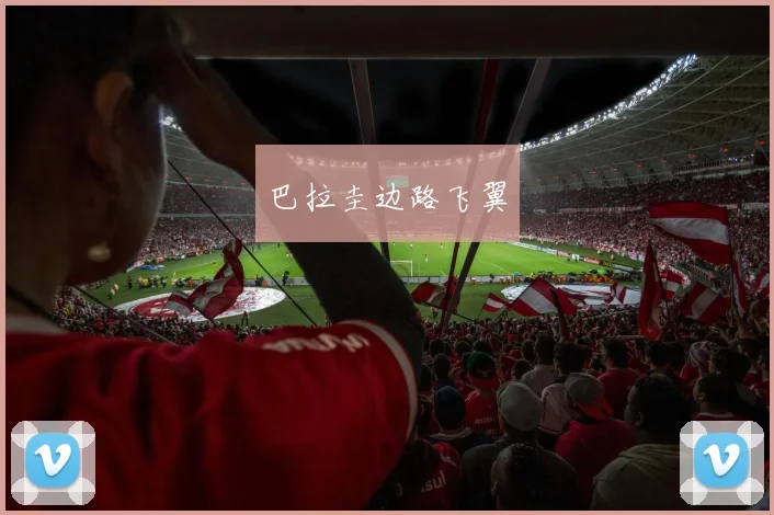 巴拉圭边路飞翼