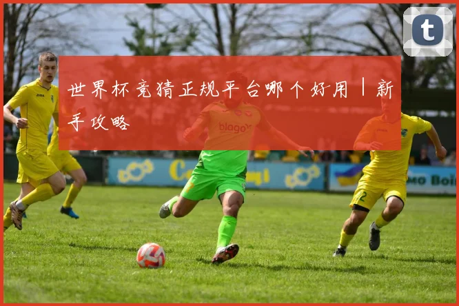 世界杯竞猜正规平台哪个好用｜新手攻略