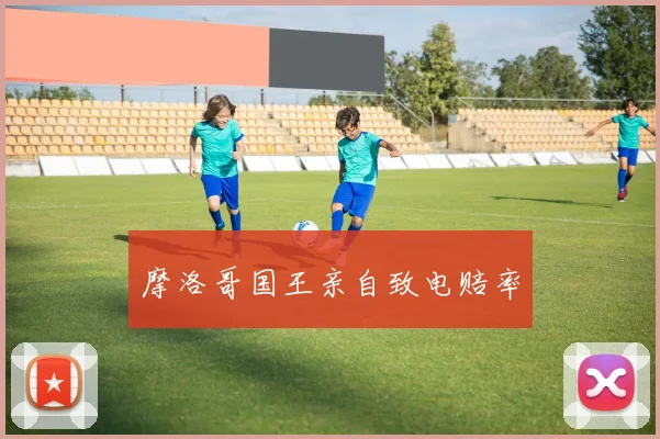 摩洛哥国王亲自致电赔率