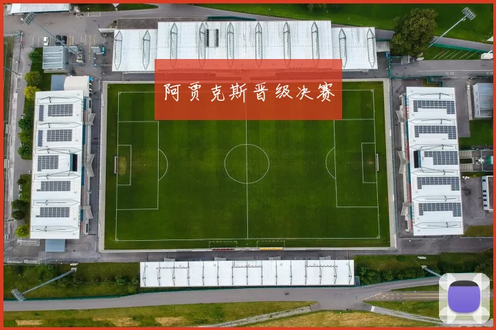 阿贾克斯晋级决赛