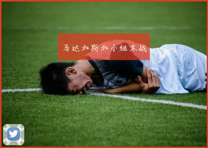 马达加斯加小组末战