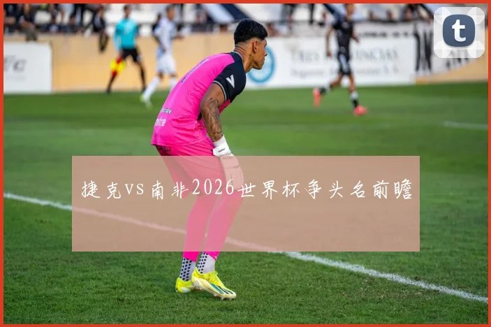 捷克vs南非2026世界杯争头名前瞻