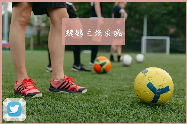 鹈鹕主场发威