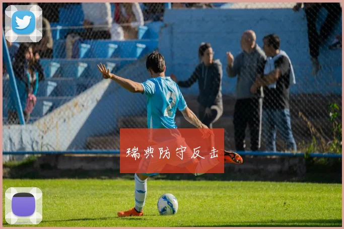 瑞典防守反击
