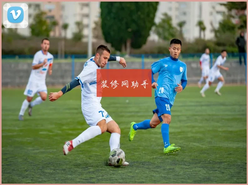 装修网助手