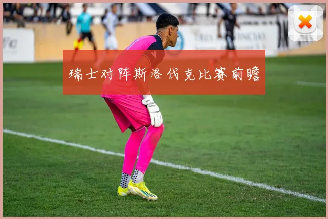 瑞士对阵斯洛伐克比赛前瞻