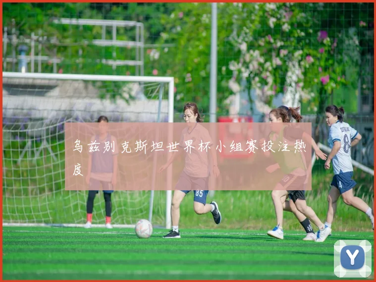 乌兹别克斯坦世界杯小组赛投注热度