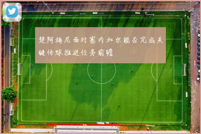 楚阿梅尼面对塞内加尔能否完成关键传球推进任务前瞻